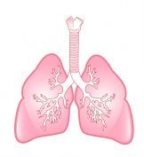 queerpinklungs's profile picture. Just for Us is working to stop Big Tobacco from addicting Fremont's LGBT and other youth by reducing illegal tobacco sales and increasing tobacco pack sizes.