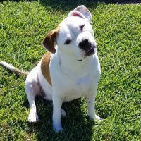 Sassymunk49 (@sassymunk49) 's Twitter Profile