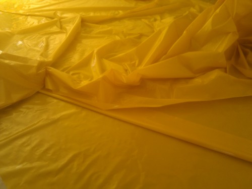 policarpius's profile picture. 