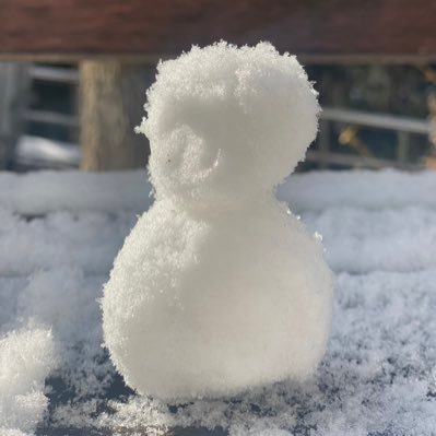 jaesuseong's profile picture. 2024 수능 성공하기