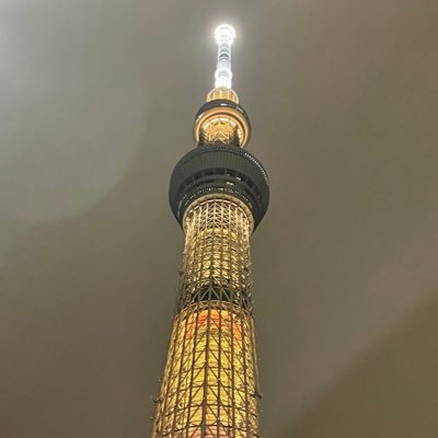 trarisi's profile picture. 