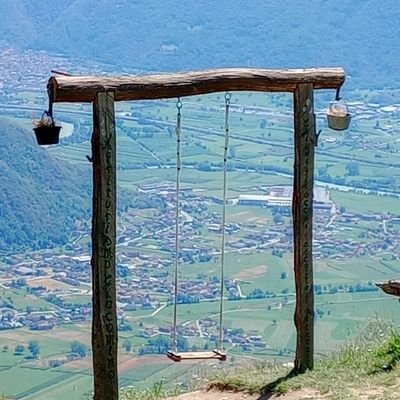 volonolomalo's profile picture. I maschi hanno il pene, le femmine la vagina. Tutto il resto proviene dal demonio.
(semicit.)
