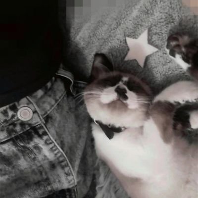 amitsitaa's profile picture. 