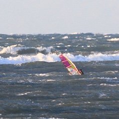 ima00100's profile picture. 