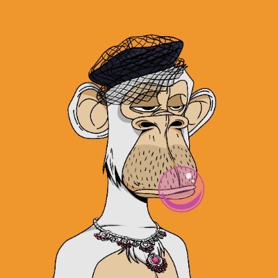 rolei20's profile picture. poare.bnb