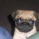 David Laidler - @DavidLaidler1 - Twitter