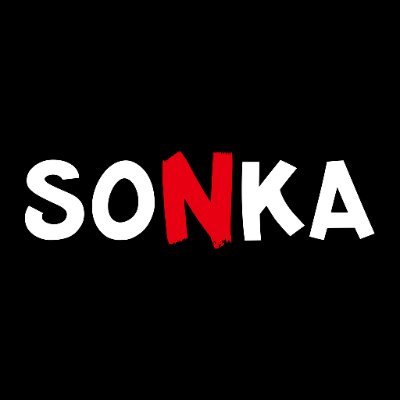Developer and publisher for Nintendo Switch - contact@sonkagames.com