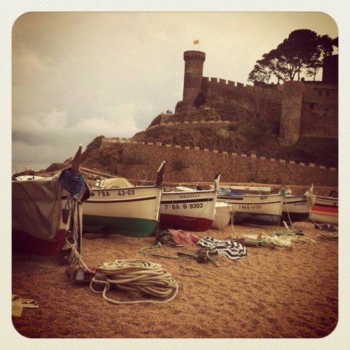 asungi's profile picture. 