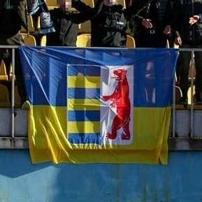 CarpathoMax's profile picture. Half-Ukrainian — Mostly posting about 🇺🇦