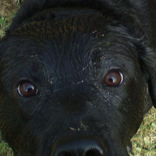 pennington44's profile picture. tillys gift shop in sunny Southbourne Village . 
#Yankee Candle
#bomb cosmetics