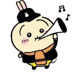 ❤︎naoponさま専用です❤︎