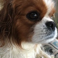 ๐ryley๐ (๐ญ๐ฒ) ๐ MOOTS CHECK PINNED !!! ๐ (@ryleycheck) 's Twitter Profile
