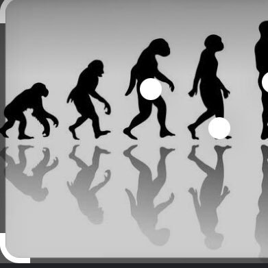 Evolution_004's profile picture. Ambedkarite.