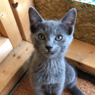 Qz_Ak9394's profile picture. 無言フォロー、失礼します💦 ☻R6派遣✨世界中に同期がいるっていいですね！ 初めての海外生活ではないですが…やっと慣れてきました☺️