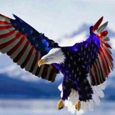 WQrEQglePQtriot's profile picture. 