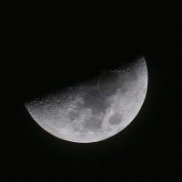 Moon_Light_Honey_(@MoonLightHoney_) 's Twitter Profile Photo