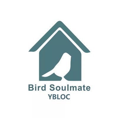 birdsoulmate Profile Picture