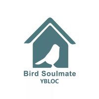 YBLOC Birdsoulmate(@birdsoulmate) 's Twitter Profile Photo