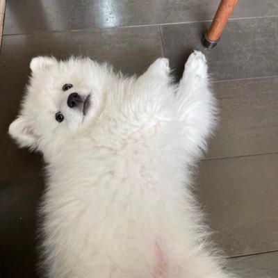 mokkn_yugi's profile picture. ワンピースカード