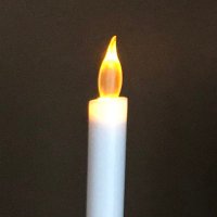 🕯️𝓗𝓲𝓻𝓪𝓶𝓮𝓭𝓸𝓾𝓼𝓪𝓼 🕯️(@flatfis48779026) 's Twitter Profile Photo