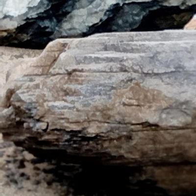 yuto1841's profile picture. 