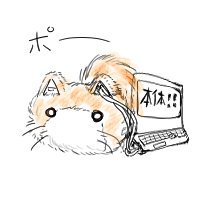 え～かるさんのプロフィール画像
