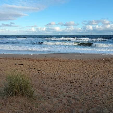 Georgeh55235821's profile picture. 