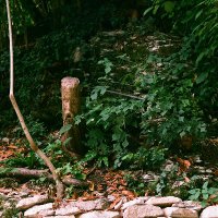 Learning Natures (@learningnatures) 's Twitter Profile