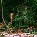 Learning Natures (@learningnatures) Twitter profile photo Learning Natures (@learningnatures) Twitter profile photo