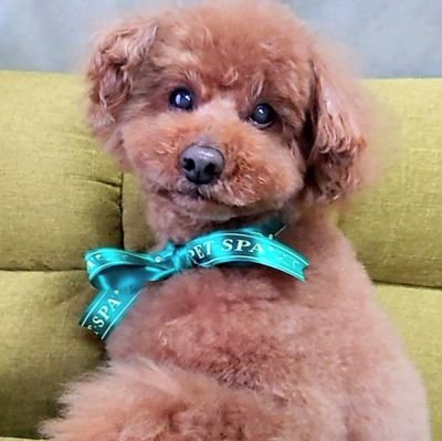 maigar1972's profile picture. 