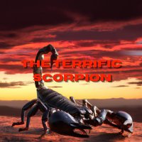 The Terrific Scorpion(@TerrificScorp) 's Twitter Profile Photo