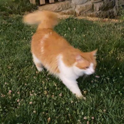 m1yqqq's profile picture. 💙💚