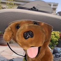 GolferDave (@golferdavec) 's Twitter Profile