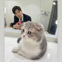 hiro.❤️🔥🇹🇭 (@hirot75304845) 's Twitter Profile