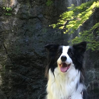 uhouhouhho1's profile picture. 2022.2〜