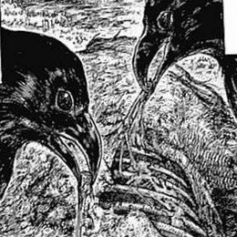 math______niki's profile picture. 京大理学部 B1/数学/作問/1浪