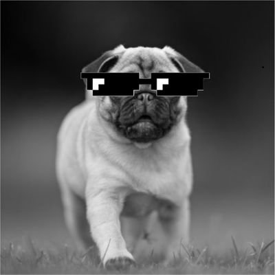 tappi_des's profile picture. 