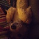 Rebecca Shell - @https_her2 - Twitter