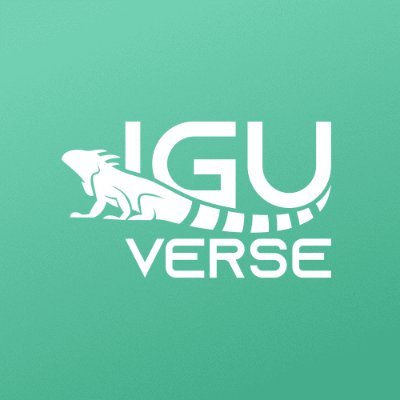 IguVerse GameFi app redefines the whole concept of NFT using AI / ML technologies. Unique user-generated NFTs will become the new standard NFT 2.0