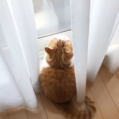 Q16161616's profile picture. 