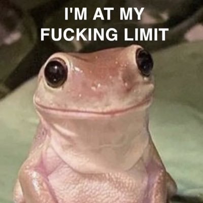 404NameNotFoun's profile picture. Non-binary??? there were other things here but I dont know Music taste screwed beyond repair??? No idea who you’re talking about.