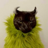 shishi (@shatwoshoes) 's Twitter Profile Photo shishi (@shatwoshoes) 's Twitter Profile Photo