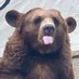 fank (@dfank_bu) Twitter profile photo fank (@dfank_bu) Twitter profile photo