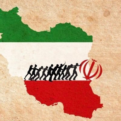 فعال حوزه پلانکتون های سالخورده،نئورعیت جمهوری بورکینافاسو،فرهاد شاخه هم خون جدا مانده،علاقه مند به گرده افشانی آفتاب پرست،معتاد شبکه های غیر اجتماعی