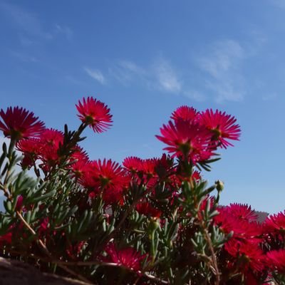 vzipvzoup's profile picture. in science we trust,book lover,Γαλλικά χωρίς το πιάνο