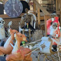 Robert (@robdodge69) 's Twitter Profile