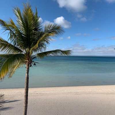 LewisNicolee's profile picture. Texan living in CA