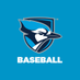 Elmhurst University Baseball (@ElmhurstU_BSB) Twitter profile photo