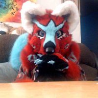 Foxlink (@foxlink) 's Twitter Profile