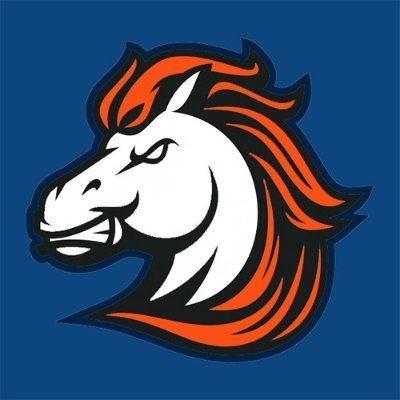 Broncos_Br Profile Picture